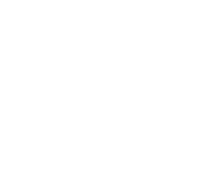 QLS Logo